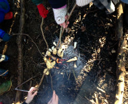 Nurseries at Forest School w