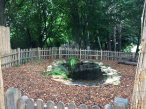 New pond 2 w
