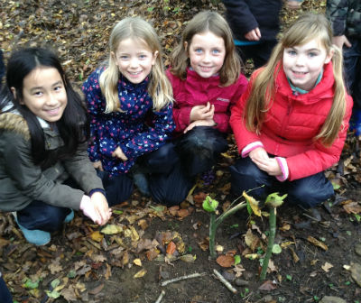 Forest School w